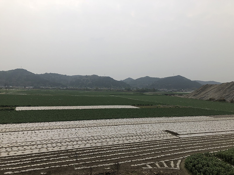 市、縣領(lǐng)導(dǎo)現(xiàn)場(chǎng)調(diào)研天馬50萬(wàn)噸玻瓶項(xiàng)目(圖7)
